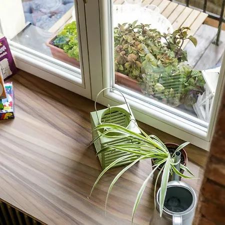 Miodowe Mieszkanko Appartement Cracovie