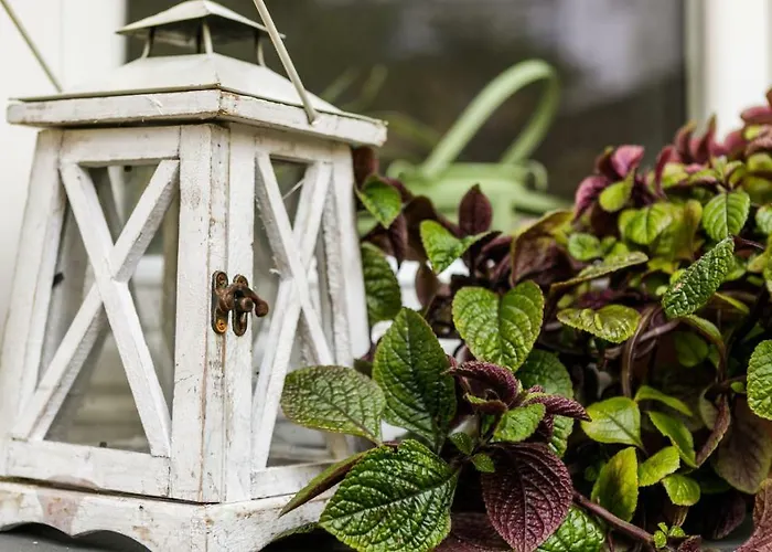 شقة Miodowe Mieszkanko